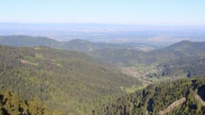 Dieses Bild zeigt eine Webcam-Aufnahme vom Achertal, aufgenommen am Freitag, den 01.05.2026 um 08:10 Uhr. Die Temperatur betrug 7.8°C.