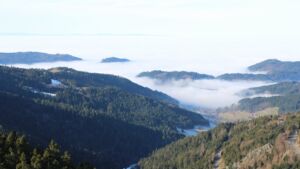 Dieses Bild zeigt eine Webcam-Aufnahme vom Achertal, aufgenommen am Dienstag, den 20.01.2026 um 11:40 Uhr. Die Temperatur betrug 8.9°C.