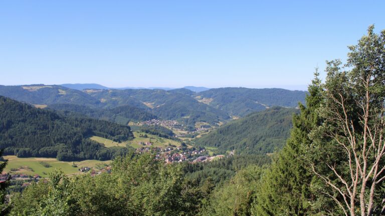 Dieses Bild zeigt eine Webcam-Aufnahme vom Achertal, aufgenommen am Freitag, den 10.07.2026 um 10:10 Uhr. Die Temperatur betrug 24.4°C.