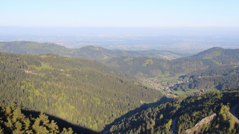 Dieses Bild zeigt eine Webcam-Aufnahme vom Achertal, aufgenommen am Samstag, den 25.04.2026 um 07:50 Uhr. Die Temperatur betrug 14.1°C.