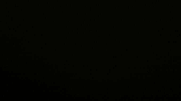 Dieses Bild zeigt eine Webcam-Aufnahme vom Achertal, aufgenommen am Samstag, den 21.02.2026 um 20:00 Uhr. Die Temperatur betrug 4.1°C.