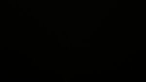 Dieses Bild zeigt eine Webcam-Aufnahme vom Achertal, aufgenommen am Samstag, den 29.11.2025 um 00:30 Uhr. Die Temperatur betrug 3.1°C.