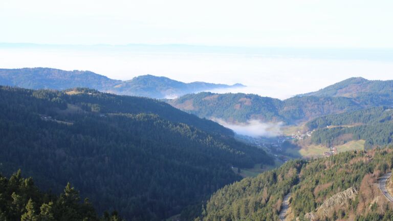 Dieses Bild zeigt eine Webcam-Aufnahme vom Achertal, aufgenommen am Sonntag, den 21.12.2025 um 11:10 Uhr. Die Temperatur betrug 6.3°C.