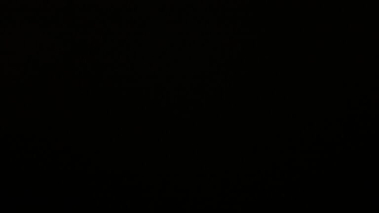 Dieses Bild zeigt eine Webcam-Aufnahme vom Achertal, aufgenommen am Montag, den 26.05.2025 um 00:30 Uhr. Die Temperatur betrug 8.8°C.