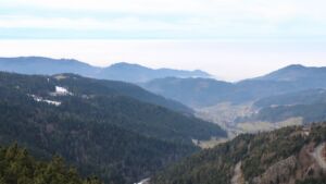 Dieses Bild zeigt eine Webcam-Aufnahme vom Achertal, aufgenommen am Freitag, den 23.01.2026 um 13:00 Uhr. Die Temperatur betrug 8.4°C.