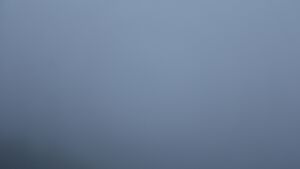 Dieses Bild zeigt eine Webcam-Aufnahme vom Achertal, aufgenommen am Mittwoch, den 11.02.2026 um 17:20 Uhr. Die Temperatur betrug 4.5°C.