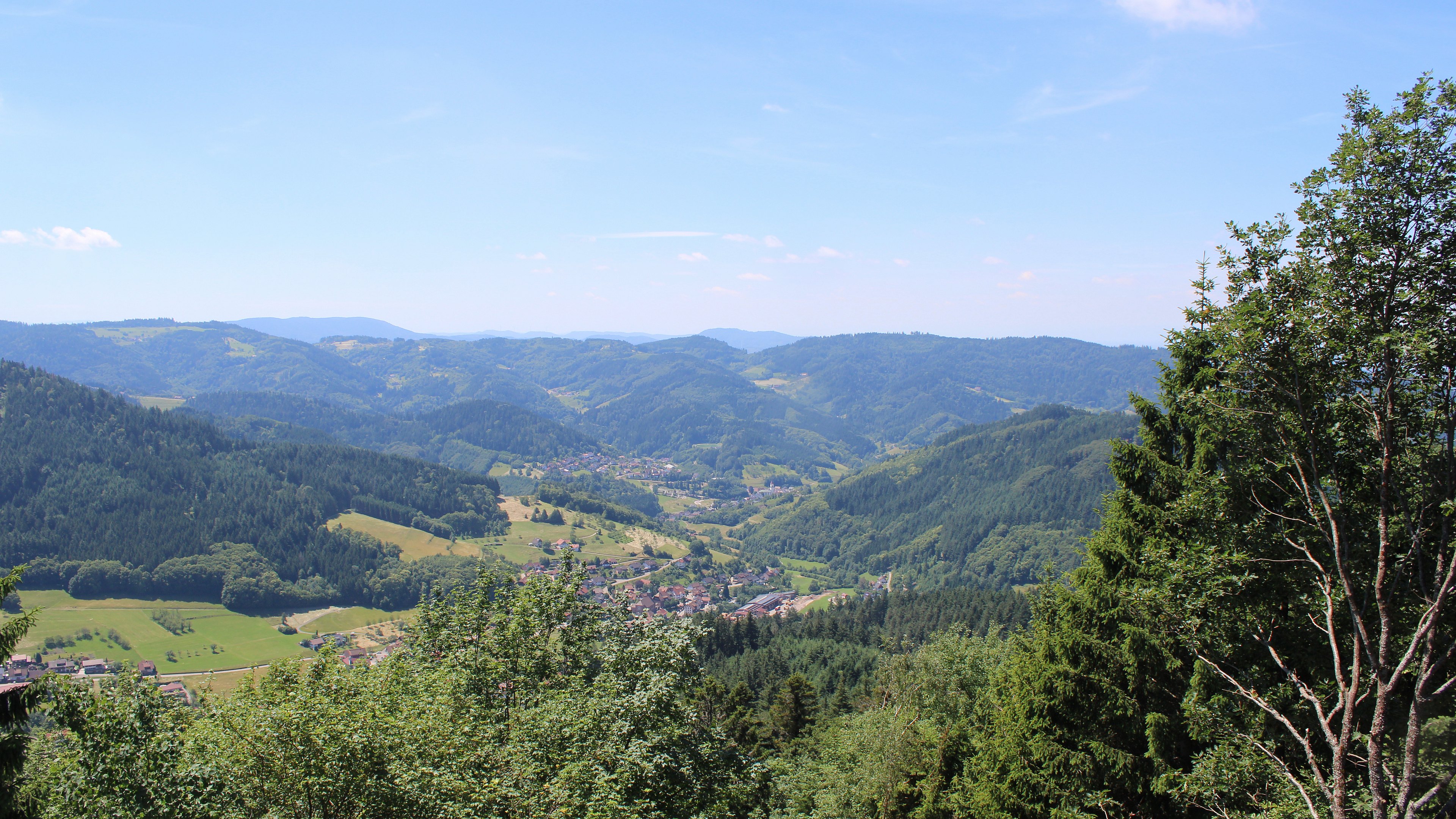 Zum Fotoarchiv vom Montag, 15. Juni 2026