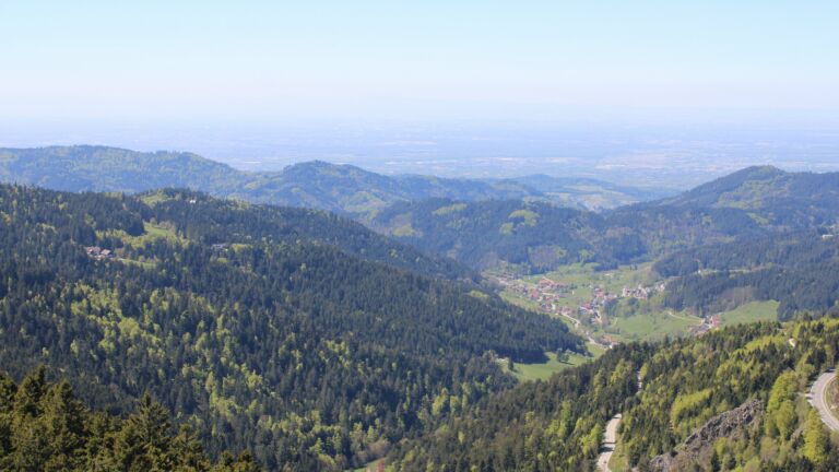 Dieses Bild zeigt eine Webcam-Aufnahme vom Achertal, aufgenommen am Samstag, den 25.04.2026 um 14:00 Uhr. Die Temperatur betrug 13.5°C.