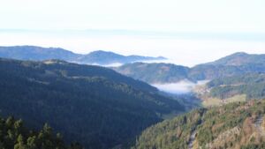 Dieses Bild zeigt eine Webcam-Aufnahme vom Achertal, aufgenommen am Sonntag, den 21.12.2025 um 11:20 Uhr. Die Temperatur betrug 6.5°C.