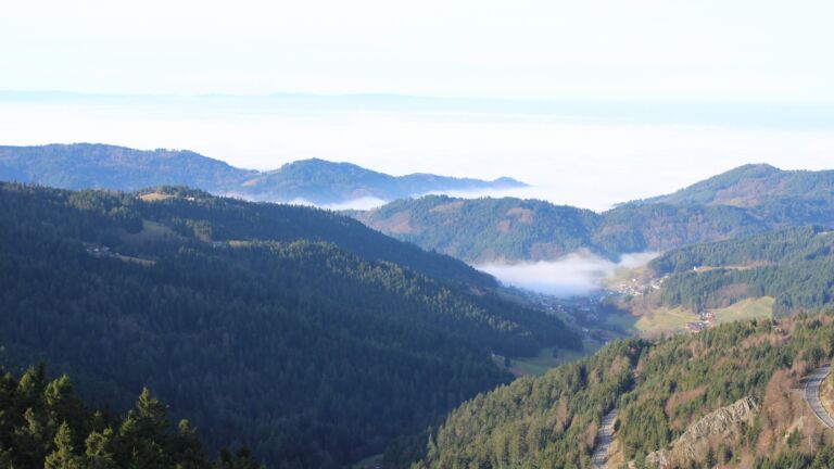 Dieses Bild zeigt eine Webcam-Aufnahme vom Achertal, aufgenommen am Sonntag, den 21.12.2025 um 11:20 Uhr. Die Temperatur betrug 6.5°C.