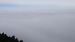 Dieses Bild zeigt eine Webcam-Aufnahme vom Achertal, aufgenommen am Sonntag, den 25.01.2026 um 11:50 Uhr. Die Temperatur betrug 2.6°C.