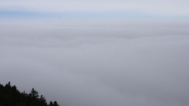 Dieses Bild zeigt eine Webcam-Aufnahme vom Achertal, aufgenommen am Sonntag, den 25.01.2026 um 11:50 Uhr. Die Temperatur betrug 2.6°C.