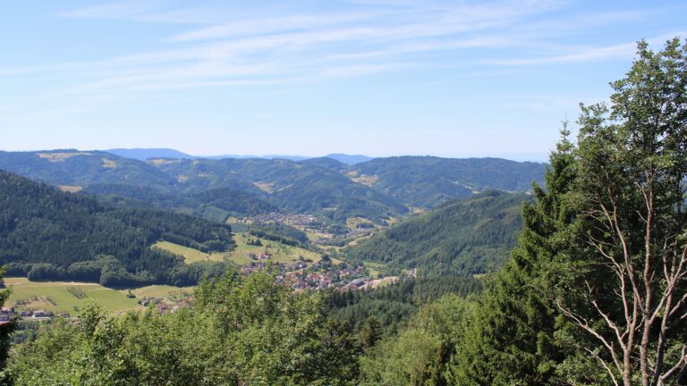 Dieses Bild zeigt eine Webcam-Aufnahme vom Achertal, aufgenommen am Sonntag, den 12.07.2026 um 12:20 Uhr. Die Temperatur betrug 25.4°C.