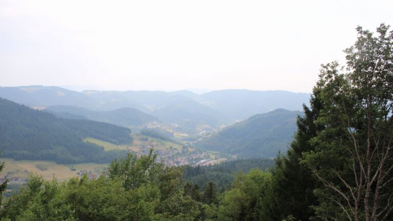 Dieses Bild zeigt eine Webcam-Aufnahme vom Achertal, aufgenommen am Freitag, den 31.07.2026 um 16:50 Uhr. Die Temperatur betrug 29.3°C.