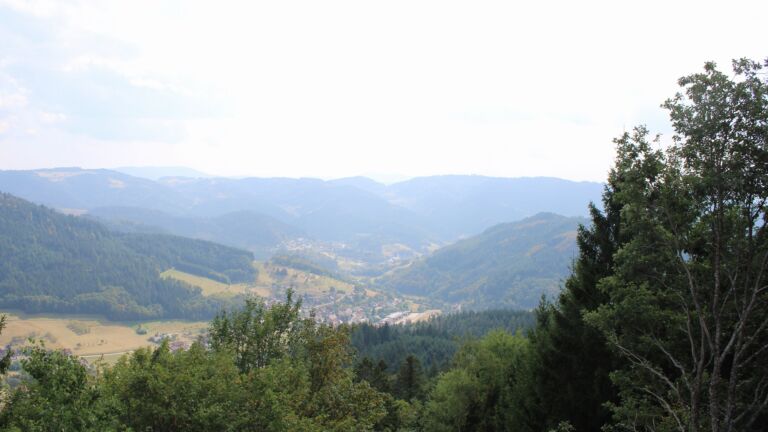 Dieses Bild zeigt eine Webcam-Aufnahme vom Achertal, aufgenommen am Montag, den 17.08.2026 um 16:20 Uhr. Die Temperatur betrug 23.1°C.