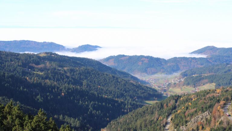 Dieses Bild zeigt eine Webcam-Aufnahme vom Achertal, aufgenommen am Freitag, den 07.11.2025 um 11:40 Uhr. Die Temperatur betrug 10.8°C.