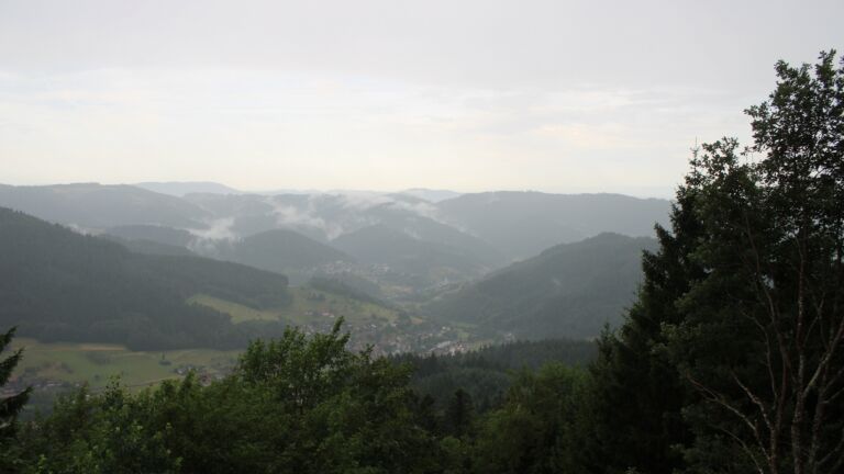 Dieses Bild zeigt eine Webcam-Aufnahme vom Achertal, aufgenommen am Dienstag, den 14.07.2026 um 08:10 Uhr. Die Temperatur betrug 16.8°C.