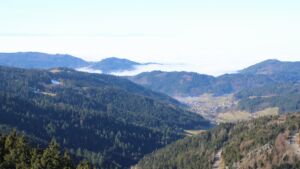 Dieses Bild zeigt eine Webcam-Aufnahme vom Achertal, aufgenommen am Sonntag, den 08.02.2026 um 12:30 Uhr. Die Temperatur betrug 4.8°C.