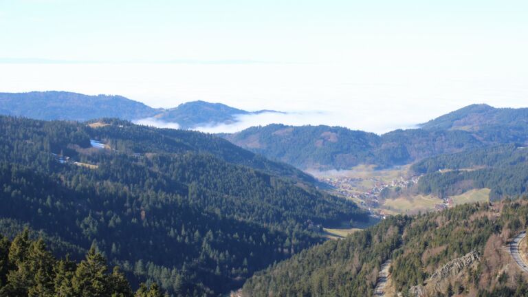 Dieses Bild zeigt eine Webcam-Aufnahme vom Achertal, aufgenommen am Sonntag, den 08.02.2026 um 12:30 Uhr. Die Temperatur betrug 4.8°C.