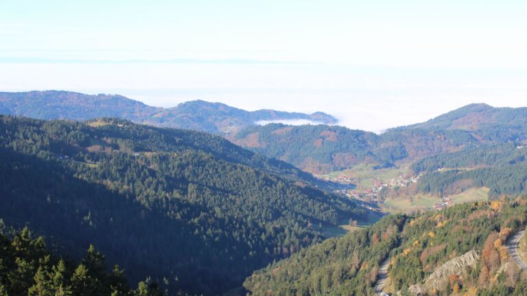 Dieses Bild zeigt eine Webcam-Aufnahme vom Achertal, aufgenommen am Freitag, den 07.11.2025 um 10:10 Uhr. Die Temperatur betrug 11.2°C.