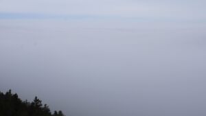 Dieses Bild zeigt eine Webcam-Aufnahme vom Achertal, aufgenommen am Sonntag, den 25.01.2026 um 10:50 Uhr. Die Temperatur betrug 2°C.