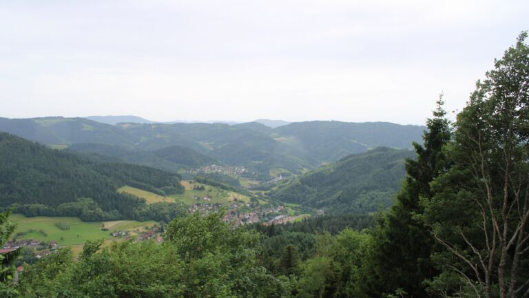 Dieses Bild zeigt eine Webcam-Aufnahme vom Achertal, aufgenommen am Dienstag, den 16.06.2026 um 13:50 Uhr. Die Temperatur betrug 17.6°C.