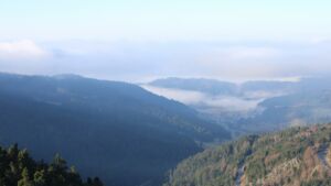 Dieses Bild zeigt eine Webcam-Aufnahme vom Achertal, aufgenommen am Samstag, den 13.12.2025 um 11:20 Uhr. Die Temperatur betrug 8.5°C.