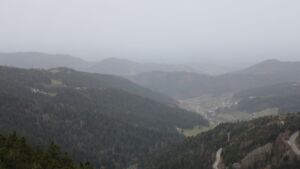 Dieses Bild zeigt eine Webcam-Aufnahme vom Achertal, aufgenommen am Freitag, den 14.11.2025 um 07:50 Uhr. Die Temperatur betrug 17.3°C.