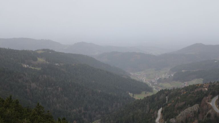 Dieses Bild zeigt eine Webcam-Aufnahme vom Achertal, aufgenommen am Freitag, den 14.11.2025 um 07:50 Uhr. Die Temperatur betrug 17.3°C.