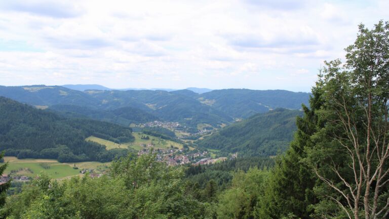 Dieses Bild zeigt eine Webcam-Aufnahme vom Achertal, aufgenommen am Montag, den 06.07.2026 um 12:30 Uhr. Die Temperatur betrug 21.8°C.