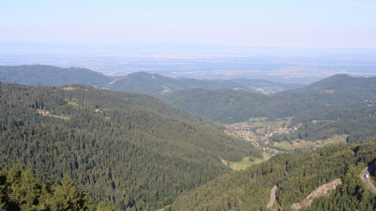 Dieses Bild zeigt eine Webcam-Aufnahme vom Achertal, aufgenommen am Montag, den 25.08.2025 um 08:50 Uhr. Die Temperatur betrug 13°C.