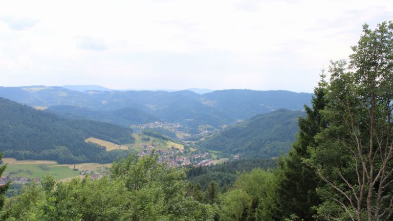 Dieses Bild zeigt eine Webcam-Aufnahme vom Achertal, aufgenommen am Dienstag, den 30.06.2026 um 16:10 Uhr. Die Temperatur betrug 30.2°C.