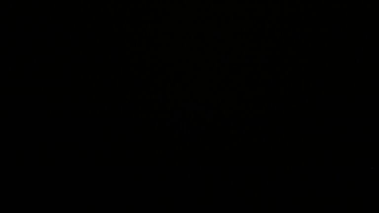 Dieses Bild zeigt eine Webcam-Aufnahme vom Achertal, aufgenommen am Dienstag, den 29.07.2025 um 00:30 Uhr. Die Temperatur betrug 9.8°C.