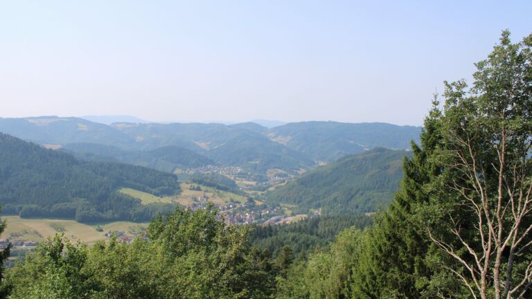 Dieses Bild zeigt eine Webcam-Aufnahme vom Achertal, aufgenommen am Donnerstag, den 30.07.2026 um 11:40 Uhr. Die Temperatur betrug 33.5°C.