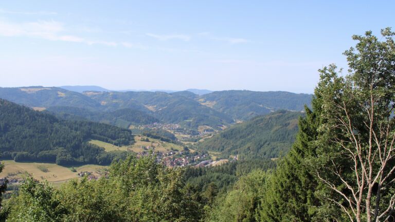 Dieses Bild zeigt eine Webcam-Aufnahme vom Achertal, aufgenommen am Montag, den 10.08.2026 um 11:20 Uhr. Die Temperatur betrug 28.4°C.