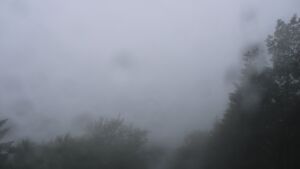 Dieses Bild zeigt eine Webcam-Aufnahme vom Achertal, aufgenommen am Freitag, den 12.06.2026 um 12:10 Uhr. Die Temperatur betrug 10.5°C.
