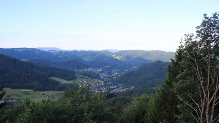 Dieses Bild zeigt eine Webcam-Aufnahme vom Achertal, aufgenommen am Montag, den 06.07.2026 um 07:50 Uhr. Die Temperatur betrug 15.5°C.
