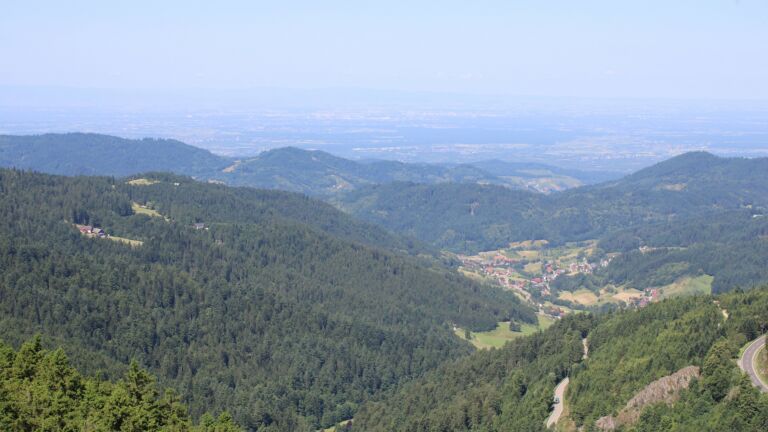 Dieses Bild zeigt eine Webcam-Aufnahme vom Achertal, aufgenommen am Dienstag, den 17.06.2025 um 11:10 Uhr. Die Temperatur betrug 17°C.