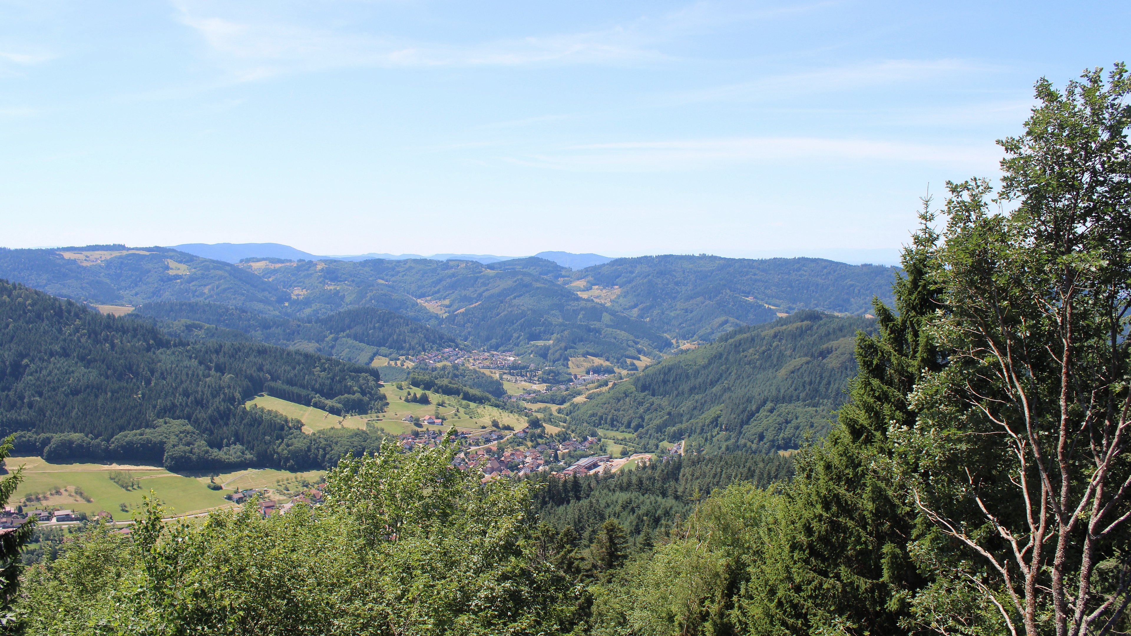 Zum Fotoarchiv vom Sonntag, 12. Juli 2026