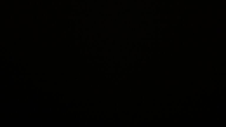 Dieses Bild zeigt eine Webcam-Aufnahme vom Achertal, aufgenommen am Sonntag, den 09.11.2025 um 19:00 Uhr. Die Temperatur betrug 4.3°C.