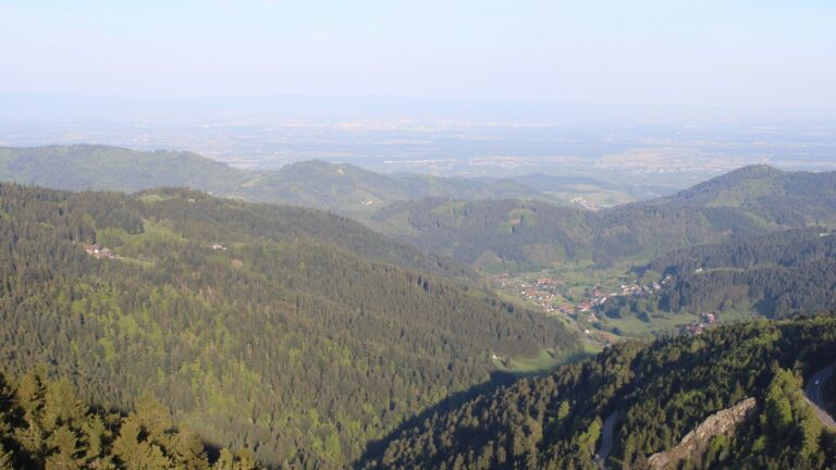 Dieses Bild zeigt eine Webcam-Aufnahme vom Achertal, aufgenommen am Mittwoch, den 29.04.2026 um 07:50 Uhr. Die Temperatur betrug 7.4°C.