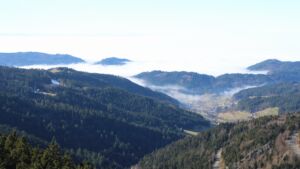 Dieses Bild zeigt eine Webcam-Aufnahme vom Achertal, aufgenommen am Sonntag, den 08.02.2026 um 13:30 Uhr. Die Temperatur betrug 4.5°C.