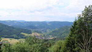 Dieses Bild zeigt eine Webcam-Aufnahme vom Achertal, aufgenommen am Dienstag, den 02.06.2026 um 12:30 Uhr. Die Temperatur betrug 21°C.