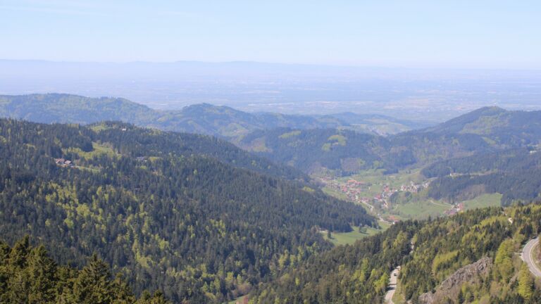 Dieses Bild zeigt eine Webcam-Aufnahme vom Achertal, aufgenommen am Freitag, den 24.04.2026 um 12:50 Uhr. Die Temperatur betrug 14.3°C.