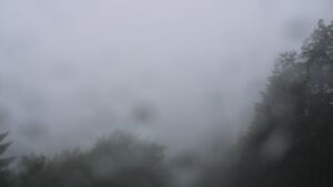 Dieses Bild zeigt eine Webcam-Aufnahme vom Achertal, aufgenommen am Freitag, den 12.06.2026 um 14:50 Uhr. Die Temperatur betrug 11.6°C.