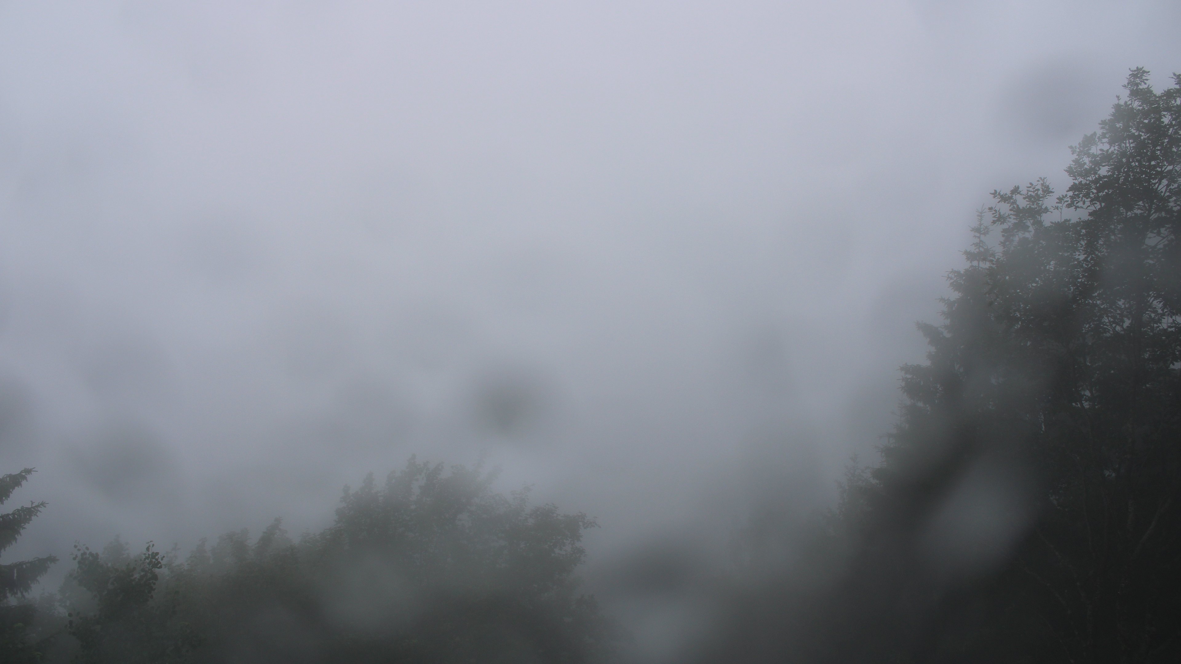 Dieses Bild zeigt eine Webcam-Aufnahme vom Achertal, aufgenommen am Freitag, den 12.06.2026 um 14:50 Uhr. Die Temperatur betrug 11.6°C.