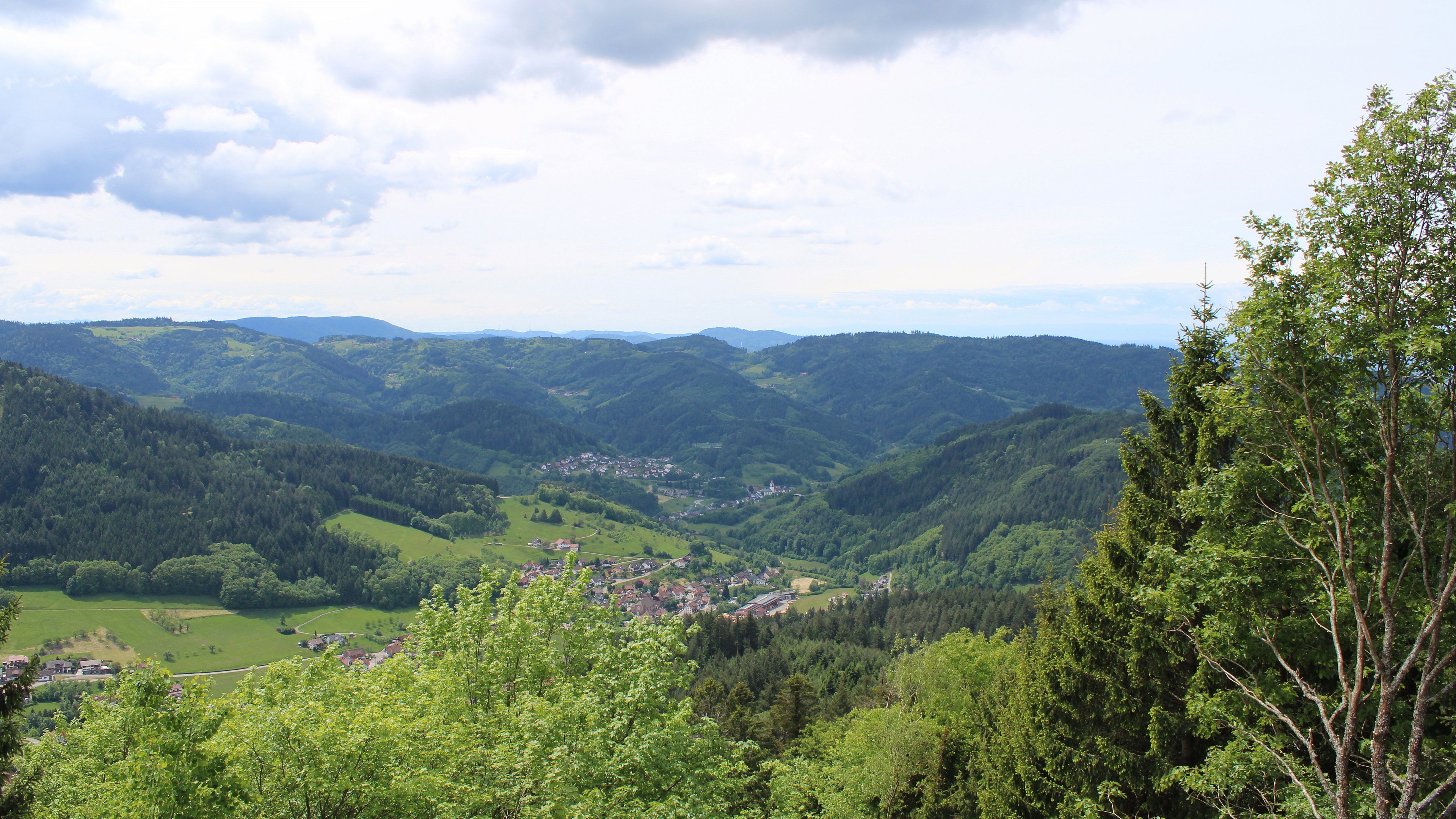 Zum Fotoarchiv vom Sonntag, 17. Mai 2026