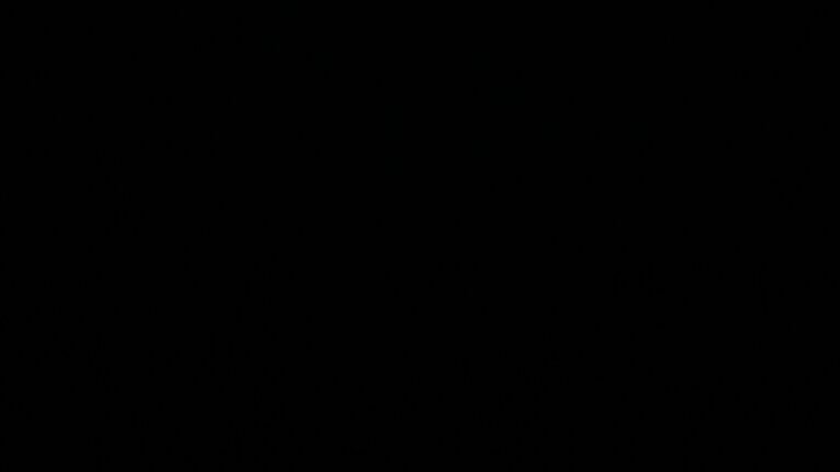 Dieses Bild zeigt eine Webcam-Aufnahme vom Achertal, aufgenommen am Mittwoch, den 22.10.2025 um 01:30 Uhr. Die Temperatur betrug 8.7°C.