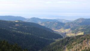 Dieses Bild zeigt eine Webcam-Aufnahme vom Achertal, aufgenommen am Mittwoch, den 17.12.2025 um 12:40 Uhr. Die Temperatur betrug 5.9°C.