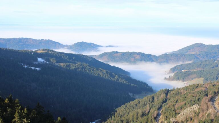 Dieses Bild zeigt eine Webcam-Aufnahme vom Achertal, aufgenommen am Freitag, den 23.01.2026 um 10:20 Uhr. Die Temperatur betrug 4.3°C.